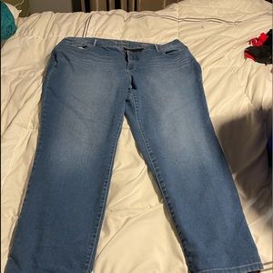 Gloria Vanderbilt 22W Jeans